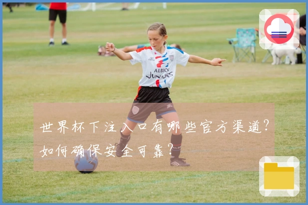 世界杯下注入口有哪些官方渠道？如何确保安全可靠？