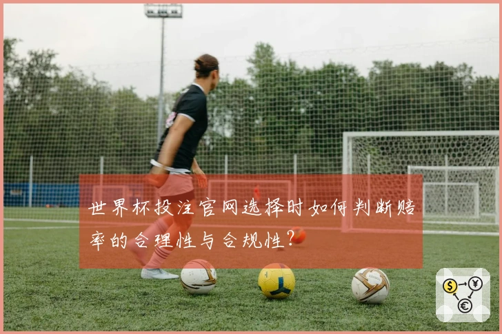 世界杯投注官网选择时如何判断赔率的合理性与合规性？