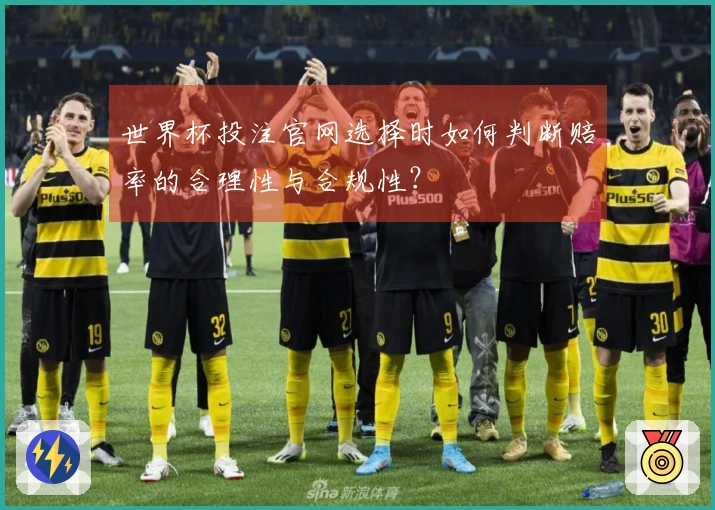 世界杯投注官网选择时如何判断赔率的合理性与合规性？