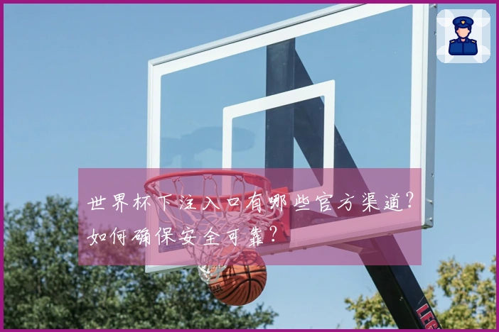 世界杯下注入口有哪些官方渠道？如何确保安全可靠？